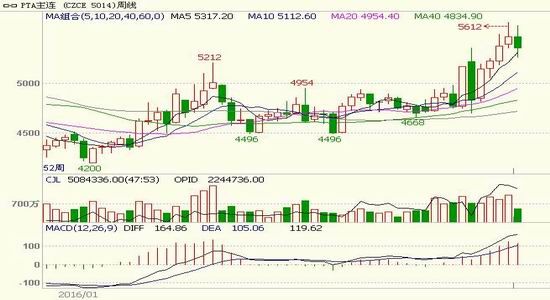 pta最新今日现货价格,PTA最新今日现货价格分析