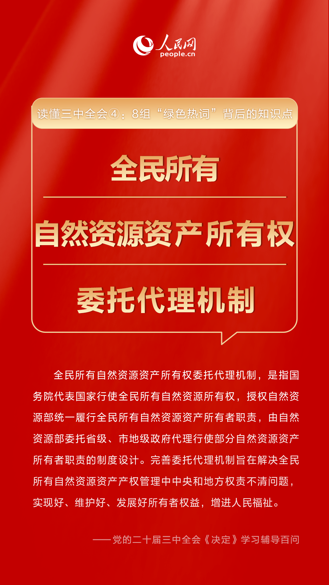 管家婆必中一肖一鸣,管家婆必中一肖一鸣——揭秘彩票预测背后的智慧与策略