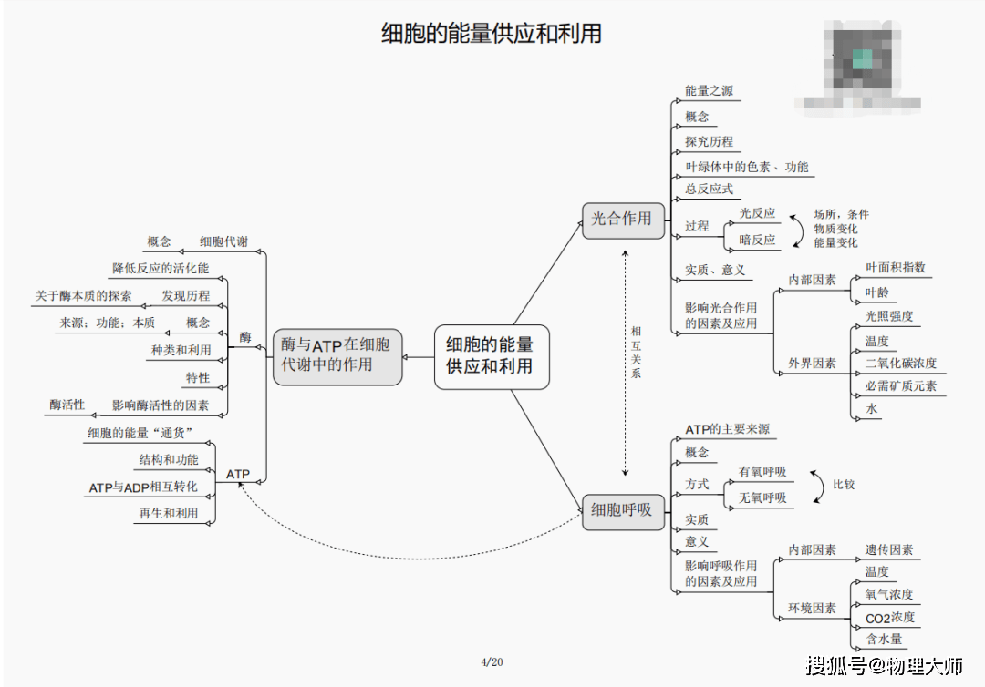 2024年12月 第96页