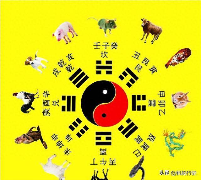 今晚9点30开什么生肖26号,今晚9点30分的生肖开什么？探寻生肖运势与数字背后的秘密