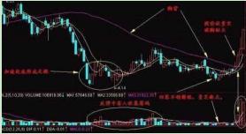 精准一肖100%准确精准的含义,精准一肖，探寻百分之百准确预测的真谛