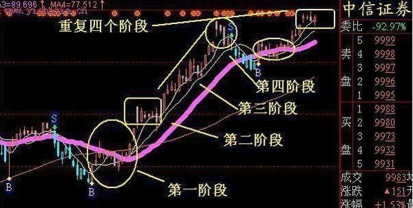 一码一肖100%精准,一码一肖，揭秘精准预测的神秘面纱