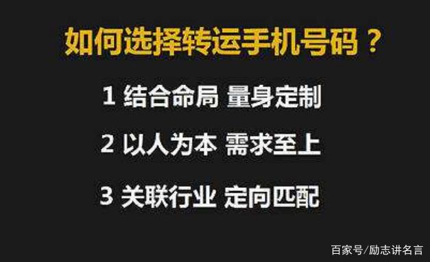 777778888精准跑狗,揭秘777778888精准跑狗，数字背后的故事与探索