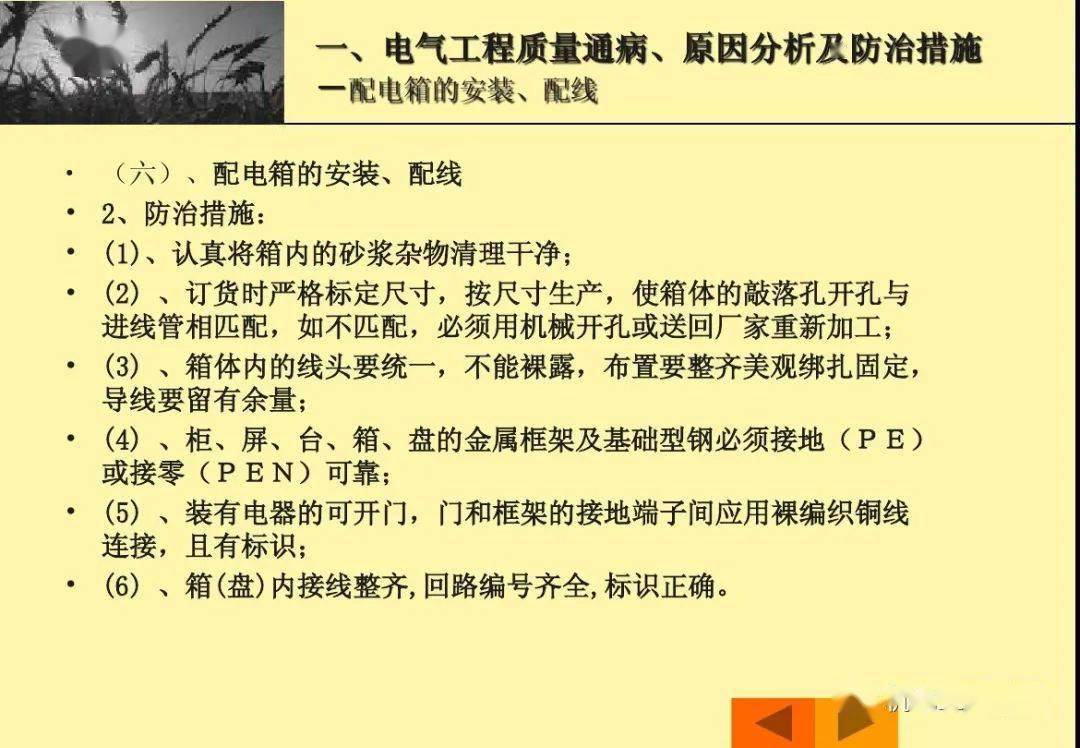 正版资料免费资料大全十点半,正版资料与免费资料大全，十点半的宝藏