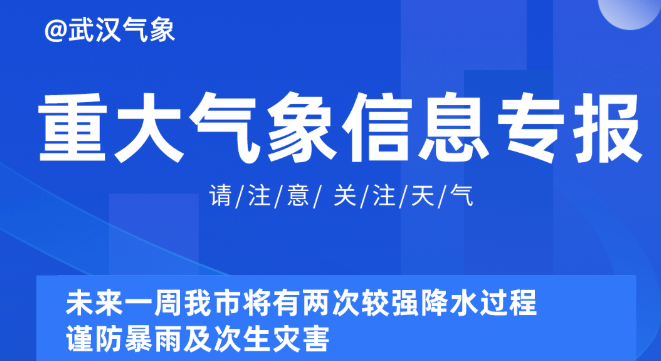 2025新奥资料免费精准175,探索未来，2025新奥资料免费精准获取之道（关键词，新奥、资料、免费、精准、175）