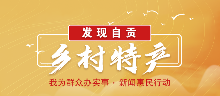 管家婆一奖一特一中,探索管家婆一奖一特一中，背后的秘密与独特魅力