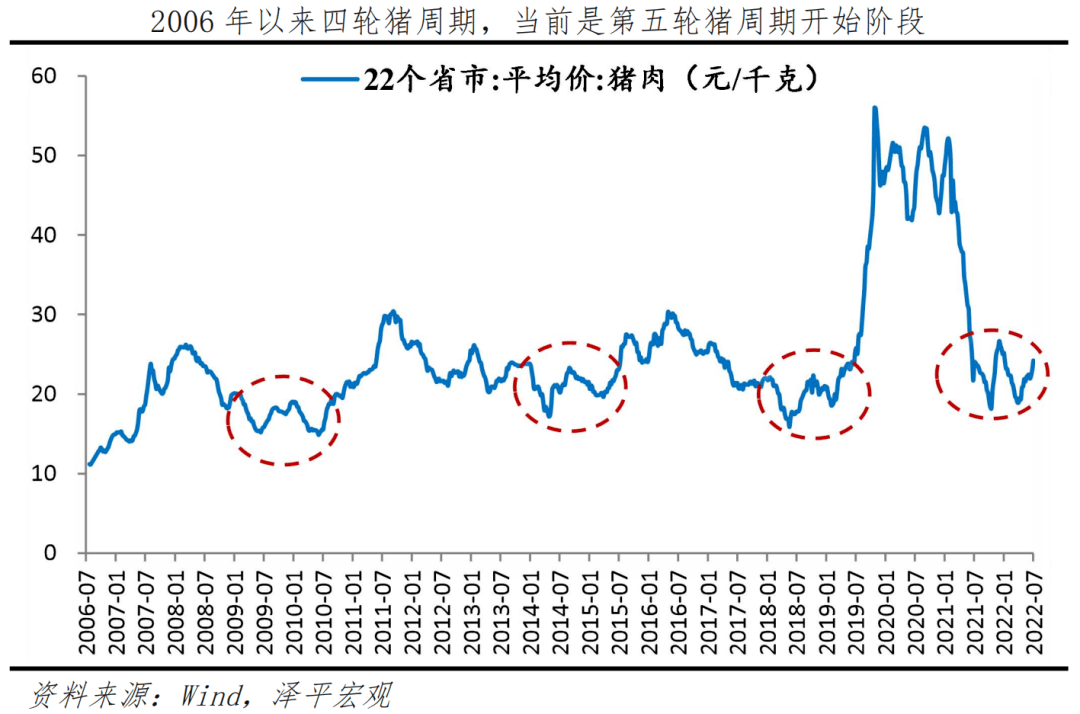 2025今晚新澳开奖号码,关于新澳开奖号码的预测与探讨——以今晚（2025年某期）为例