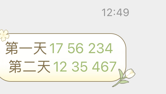 2025澳门正版今晚开特马125期 04-15-17-28-32-49N：43,澳门正版今晚开特马第125期，探索数字背后的秘密与期待