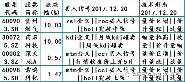 2025年2月21日 第5页