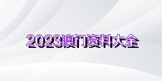 澳门二四六天天资料大全2023078期 09-16-21-33-45-46E：25,澳门二四六天天资料大全2023年7月8期之深度解析与预测