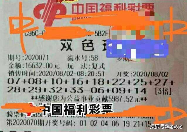 管家婆2025正版资料大全063期 02-06-11-14-32-46C：22,管家婆2025正版资料解析，探索第063期的数字奥秘与策略解读