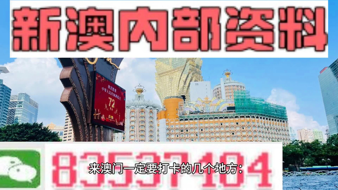 新澳2025年最新版资料049期 06-11-22-36-39-49N：34,新澳2025年最新版资料解读与探索，第049期数字解析报告