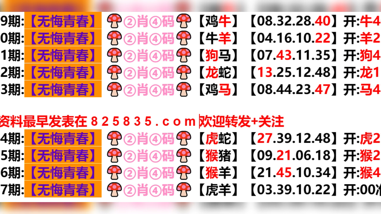 新奥门期期免费资料046期 10-23-36-38-43-46M：27,新奥门期期免费资料解读与探索，第046期的秘密与未来展望